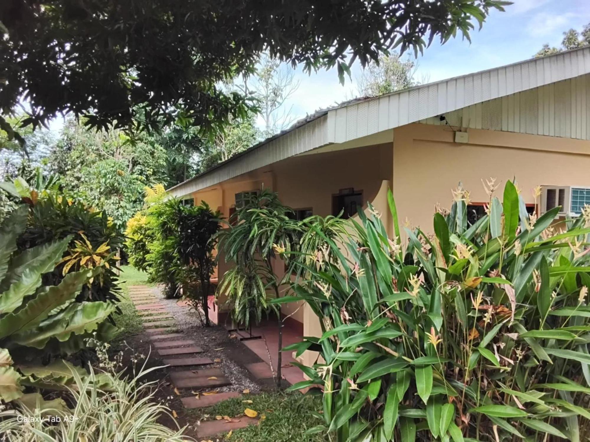 Camiguin Lanzones Resort Mambajao Chambre photo