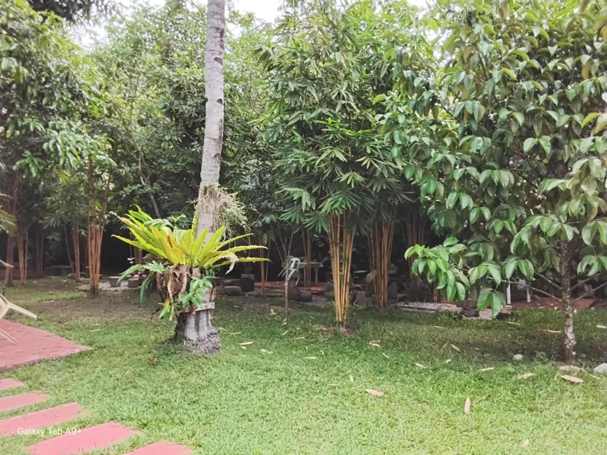 Camiguin Lanzones Resort Mambajao Extérieur photo