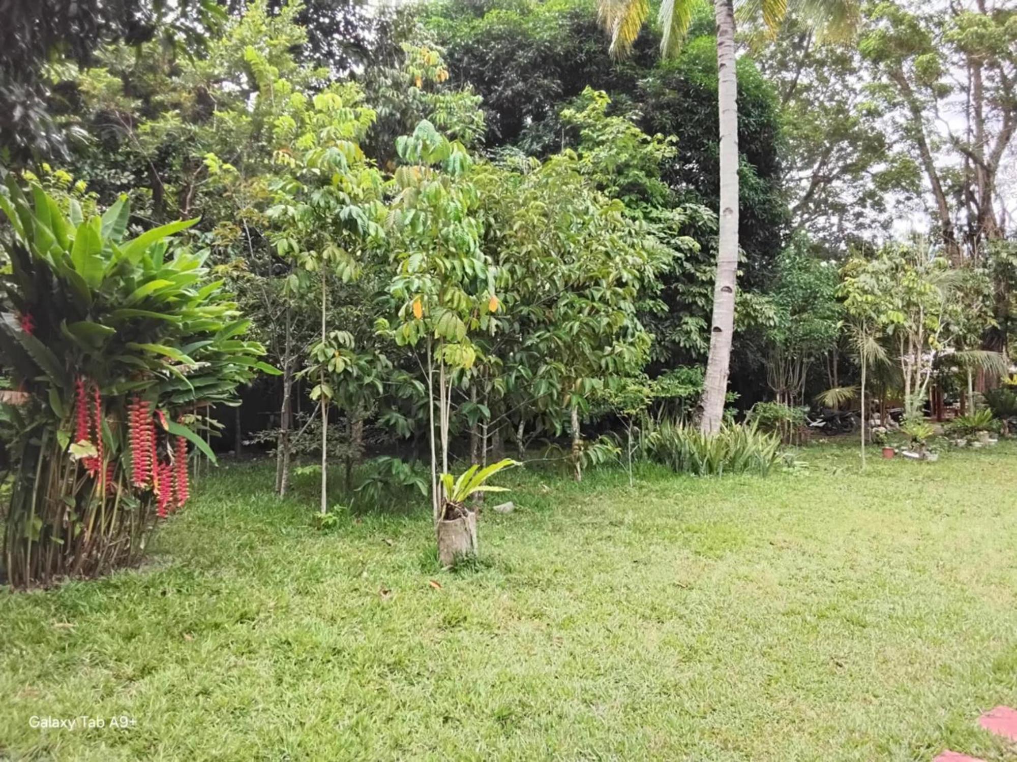 Camiguin Lanzones Resort Mambajao Extérieur photo