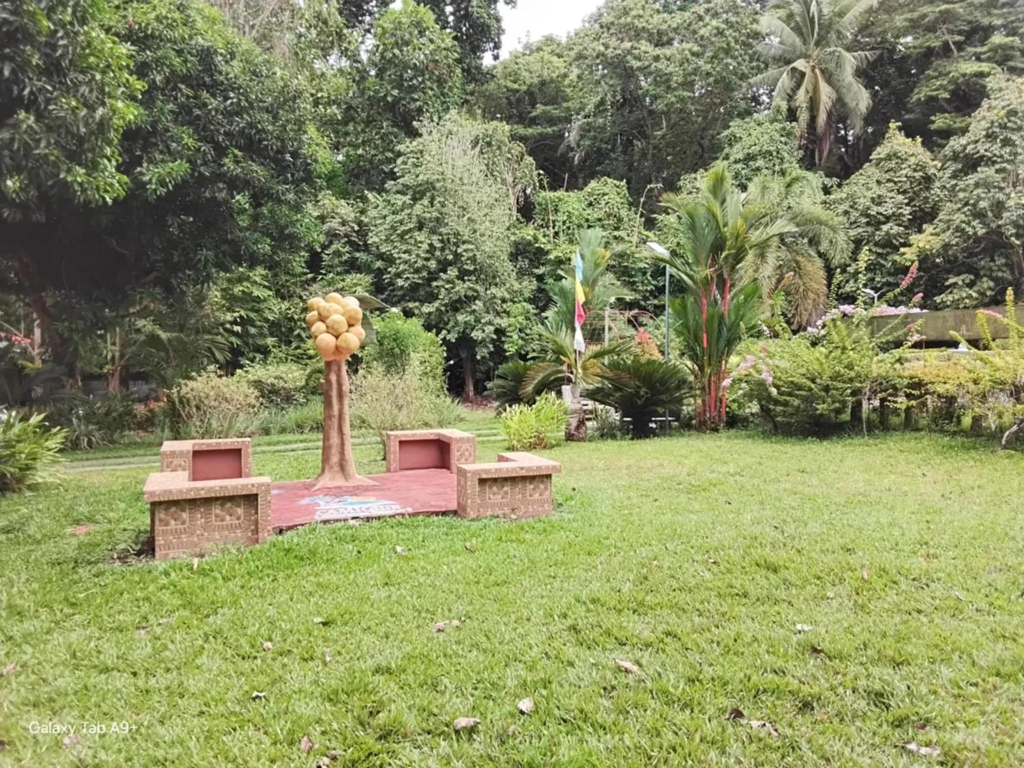 Camiguin Lanzones Resort Mambajao Extérieur photo